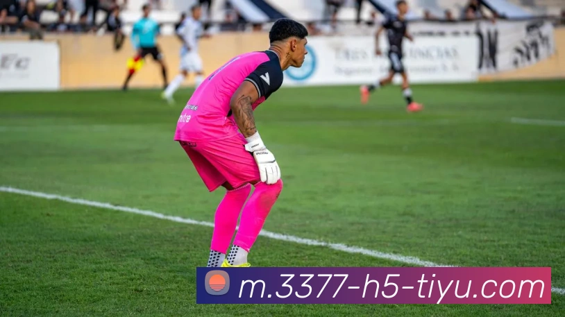 3377体育品牌故事