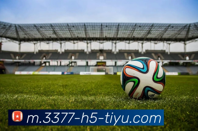 3377体育服务体系